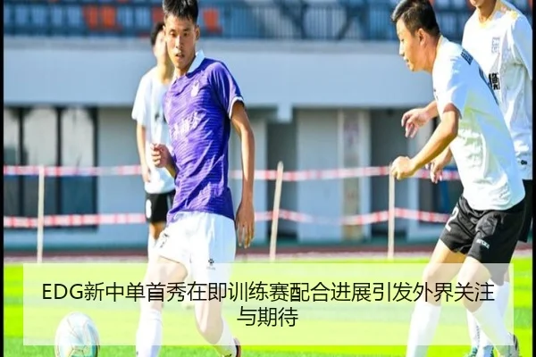 EDG新中单首秀在即训练赛配合进展引发外界关注与期待
